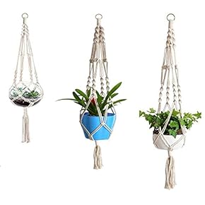 吊り下げ　プランター 楽天市場】吊り下げ プランターの通販