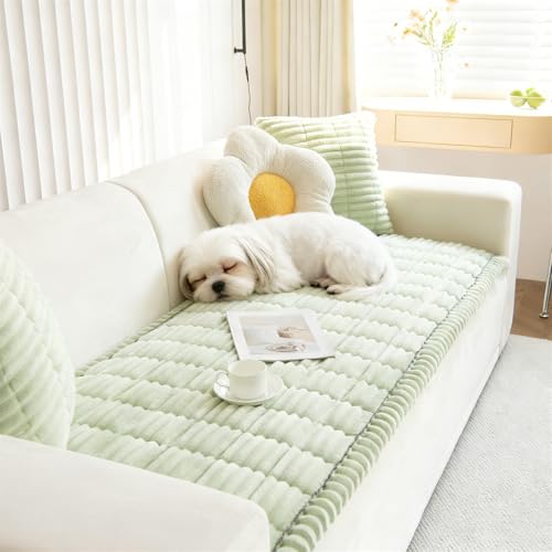 \t@[pbh \t@Jo[ \t@[Jo[ 2l| 3l| It 邾 H~p g \t@[V[g }`Jo[ \t@[ zc L΍ IȂ ӂ Ȃ xbhJo[ 􂦂 (NbJo,~gO[)