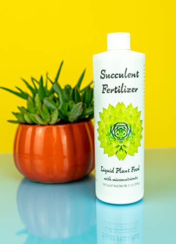 Succulent Fertilizer (16oz) Formulated Succulent Food for Potted Indoor Succulents and Cactus | Nutrients for Cacti and Succulent Plants | Plant Food for Succulent Soil in Pots | by Aquatic Arts