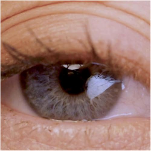 Introducing Visionaries