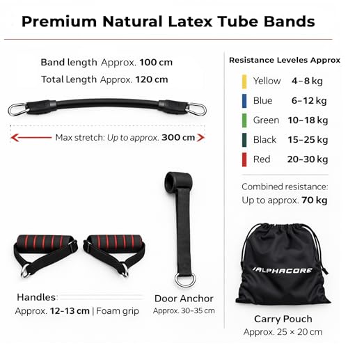 Image of Resistance Band Set with Handles for Home Workout | Natural Latex Exercise Bands for Strength Training, Yoga, Gym | Full Body Fitness Bands for Men & Women