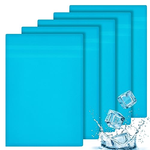 Paterr 5 Pcs Soft Flannel Cold Pack Sleeves Reusable Washable Fabric Cover for Protective Hot Ice Cover Cold Pack Not Included Blue(10x14)