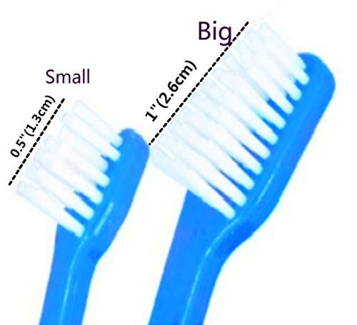 Pienoy 50-Pieces Double-Headed Dog/Cat Toothbrush - Convenient Toothbrush To Clean Pet Teeth, Pet Toothbrush (Blue) #TOP1