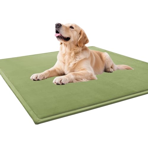 Tapis de couchage pour chiens grand format vert dans le salon de la maison - 2