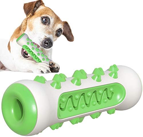 dog green toothbrush