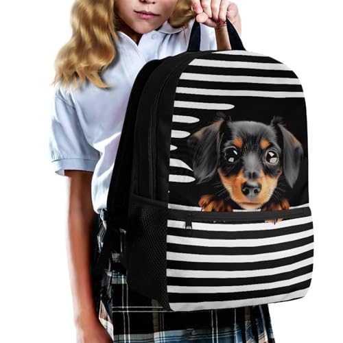 xixirimido Schulrucksack für Kinder, 43,2 cm, Büchertasche, Schultertasche, Rucksack, Dackel Hund, Einheitsgröße