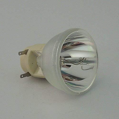 Modelo Sekond 5J.J7L05.001 Proyector Bare Lámpara de repuesto para proyector BENQ W1070/W1080ST