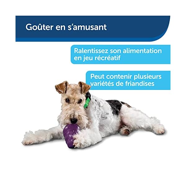 Petsafe Busy Buddy Squirrel Dude Dog Toy – Treat Dispensing, Slow Feeder Dog Toy – Large, Purple Petsafe Busy Buddy Squirrel Dude Dog Toy – Treat Dispensing, Slow Feeder Dog Toy – Large, Purple