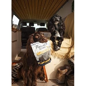 Proden PlaqueOff Sytem Mini Dental Care Bones – Peanut Butter Banana – 12 oz, Brown