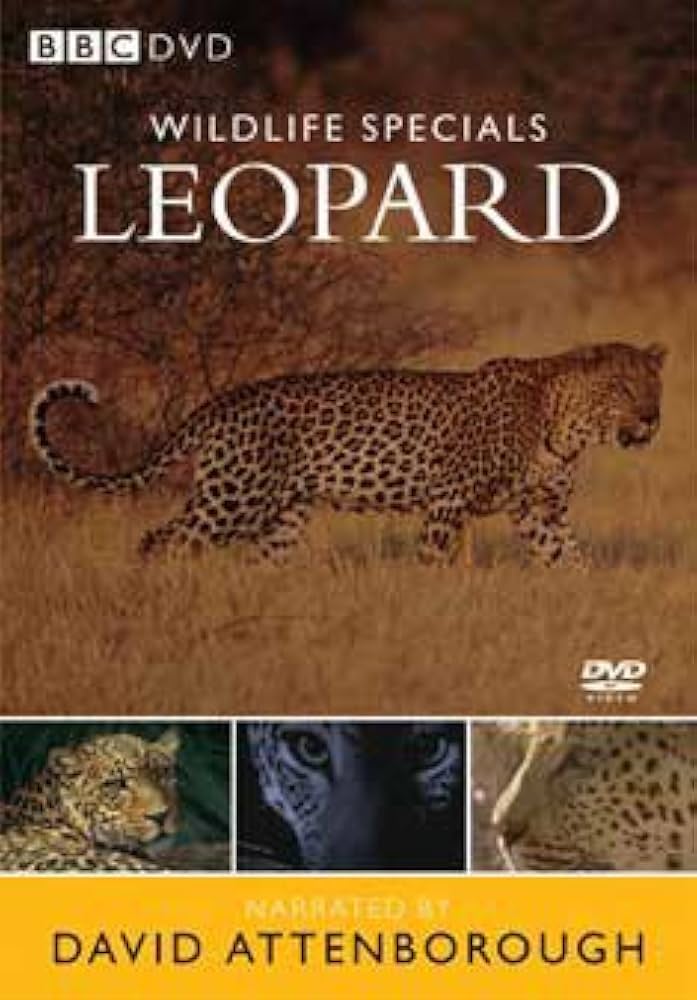 BBC WILDLIFE SPECIALS DVD 日本版 BBC WILDLIFE SPECIALS LEOPARD - メルカリ