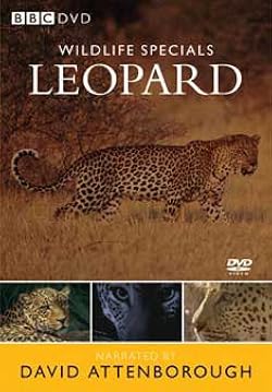 BBC WILDLIFE SPECIALS DVD 日本版 即発送】 BBC ワイルドライフ・スペシャル 野生動物