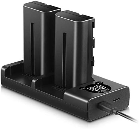 ENEGON NP-F550 Battery (2-Pack) and Rapid Dual LCD Charger for Sony NP-F970 NP-F750 NP-F770 NP-F960 NP-F550 NP-F530 NP-F570 CCD-SC55 TR516 TR716 TR818 TR910 TR917 CN160, CN-216 LED Light & More