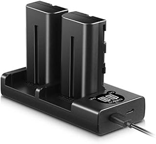 ENEGON NP-F550 Battery (2-Pack) and Rapid Dual LCD Charger for Sony NP-F970 NP-F750 NP-F770 NP-F960 NP-F550 NP-F530 NP-F570 CCD-SC55 TR516 TR716 TR818 TR910 TR917 CN160, CN-216 LED Light & More