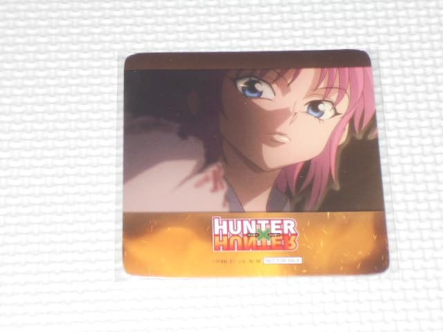 Amazon.co.jp: HUNTER×HUNTER WEBくじ 第2弾 戦闘開始 バトル