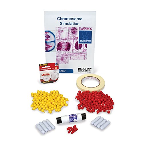 Carolina Biokits™ Chromosome Simulation for Mitosis and Meiosis – Hands-On Learning with Pop Beads and Magnetic Centromeres | Includes Digital Resources | Ideal for High School Biology
