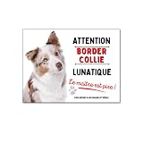 Plaque Border Collie merle rouge humour chien lunatique panneau humour je monte la garde pancarte aluminium