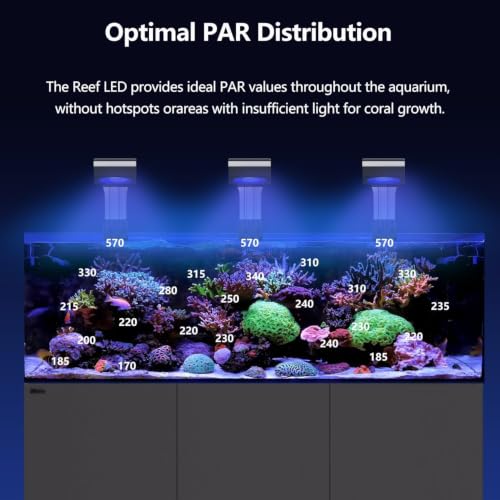 Image of PopBloom RL115 Reef LED Light,Powerful as 135W Reef Aquarium Lighting for LPS /SPS Corals and Saltwater Fish Tanks, Built-in Timer, Blue Focused Spectrum,APP Control