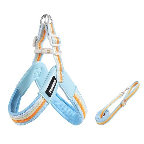 English Cocker Spaniel Y-Shaped Harness and Leash Set, 1.4m Lightweight Anti-Pull Harness, Soft Padding Blue XS