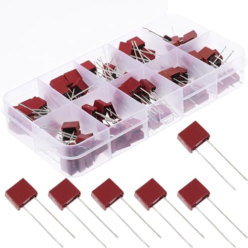 Anneome Kit Fusibles Lentos Cuadrados Surtido Fusibles de Retardo para Electrónica Doméstica Protección contra Sobrecarga