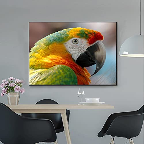 Peinture diamant 5D perroquet XXL pour transformer votre décoration murale de salon