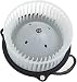 HVAC plastic Heater Blower Motor w/Fan ABS Cage ECCPP fit for 1994-2001 Dodge Ram 1500/1994-2002 Dodge Ram 2500/1994-2002 Dodge Ram 3500/1995-2002 Dodge Ram 4000/1993-1998 Jeep Grand Cherokee