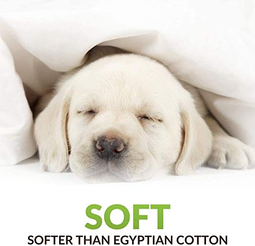 Image of YRM Bedding's - Egyptian Cotton 600TC Pillow Cover | Premium Pillowcases | Luxury Bedding-Export Collection | High Thread Count Durable & Breathable Covers - Parrot Green | [15''x25''] Inches