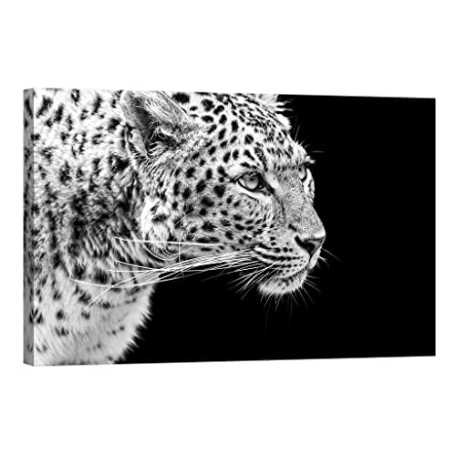 Toile canvas animals DCA085-2 d'art contemporain 80 x 120 cm