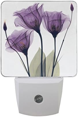 2 Pack Plug-in LED Night Light Lamp with Light Sensor, Lavender Hope Flowers Daylight White for Bedroom, Bathroom, Hallway, Stairways, 0.5W, Purple