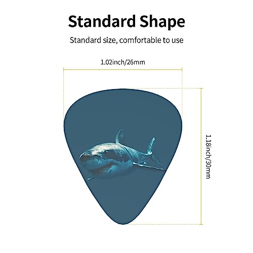 Blue Shark Lot de 12 médiators tendance et durables dans une boîte pour ukulélé guitare électrique basse - Les Beatles, Paul McCartney, John Lennon, RIngo Starr, George Harrison Blue Shark Lot de 12 médiators tendance et durables dans une boîte pour ukulélé guitare électrique basse – Image 5