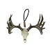 Big Rack Whitetail Skull Figurine