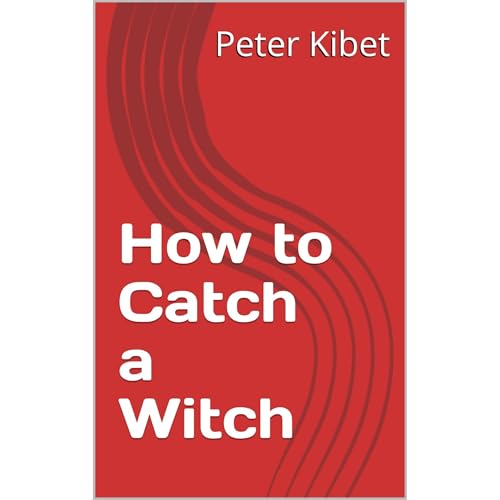 How to Catch a Witch Audiolibro Por Peter Kibet arte de portada