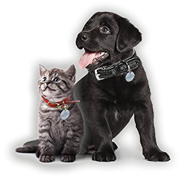 protector for dogs ticks