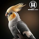  Calopsita