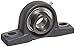 Hub City PB220URX1-3/16 Pillow Block Mounted Bearing, Normal Duty, Low Shaft Height, Relube, Eccentric Locking Collar, Narrow Inner Race, Cast Iron Housing, 1-3/16" Bore, 2.04" Length Through Bore, 1.563" Base To Height
