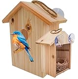 See Through Window Birdh Ouse - Wooden, Large Suction Cups, Hanging Lanyard Rope Bird House - Spy Window Bird Nest Box - Outdoor Bird Watching, Backyard Bird Shelter