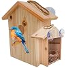 See Through Window Birdh Ouse Wooden Large Suction Cups Hanging Lanyard Rope Bird House Spy Window Bird Nest Box Outdoor Bird Watching Backyard Bird Shelter
