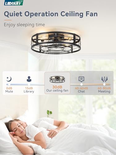 Image of LEDIARY 23 inch Caged Ceiling Fan with Light and Remote, Low Profile Flush Mount Fandelier, Black Bladeless Enclosed Small Fan Lights Ceiling Fixtures, Rustic Farmhouse Style for Bedroom, Outdoor