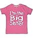 BIG SISTER a juego T-camisa y body de juego de peluches y libros BABY SISTER'