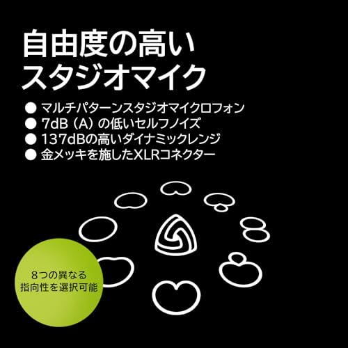 LEWITT マイク コンデンサー ボーカル 楽器 レコーディング 8つの極性タイプ LCT 441 FLEX
