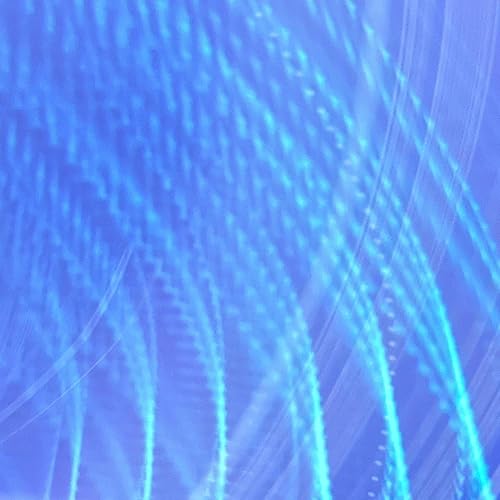 Image of 20251019_DJW
