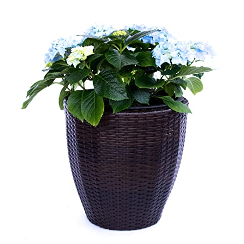 Elegant Einrichten Pflanzkübel Polyrattan D46xH46cm Coffee braun.