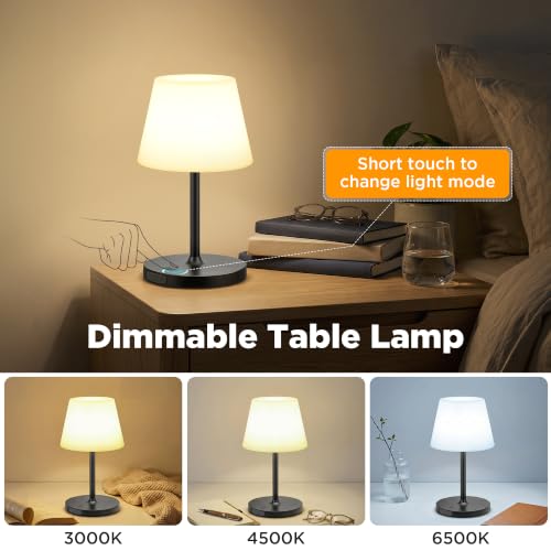 Image of 2 Pack Shower Lamp Waterproof, 6000mAh & 3 Color Temps and Stepless Dimming