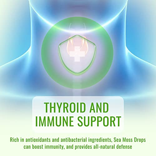 Dilib Irish Sea Moss Liquid Drops: 2000Mg, Organic Bladderwrack, And Burdock Root, Spirulina, Thyroid Support, Support For Digestion And Skin, Joint Health, Herbal Supplements- Apple Cider Vinegar #TOP6