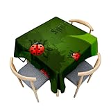 Fasbuy