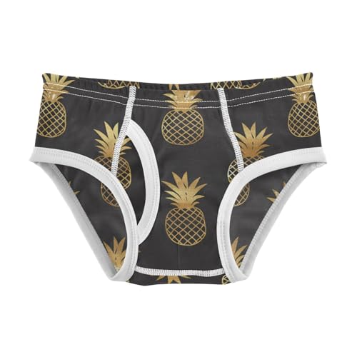 Wusikd Pineapple Gold Glitter Boys' Underwear Cotton Boys Briefs Soft Toddler Underwear 2T