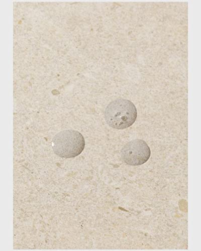 The Body Shop Seaweed Oil-Balancing Toner, 100% Vegan Facial Toner, 8.4 Fl. Oz. #TOP4