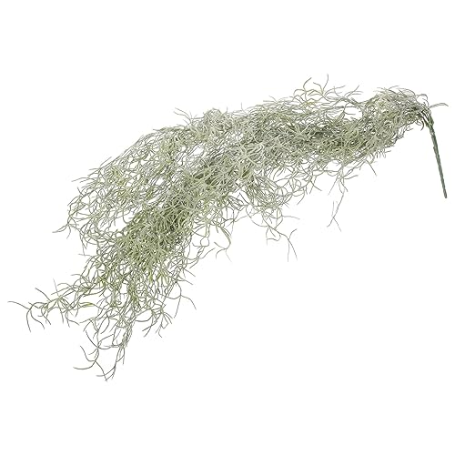Alipis Hanging Moss Decor Preserved Moss for Decor DIY Micro Landscape Materials Prop