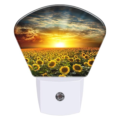 Image of Night Light Beautiful Sunset Plug-in LED Dusk-to-Dawn Sensor Soft Night Lamp,Suitable for Home Bedroom Bathroom Hallway Stairs