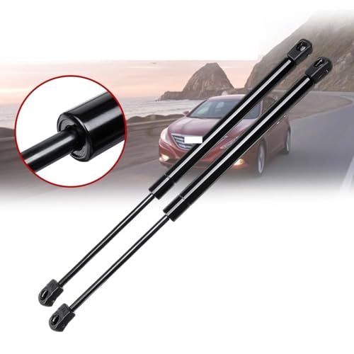 Support de levage pour capot Sonata : confort d'ouverture sous le moteur