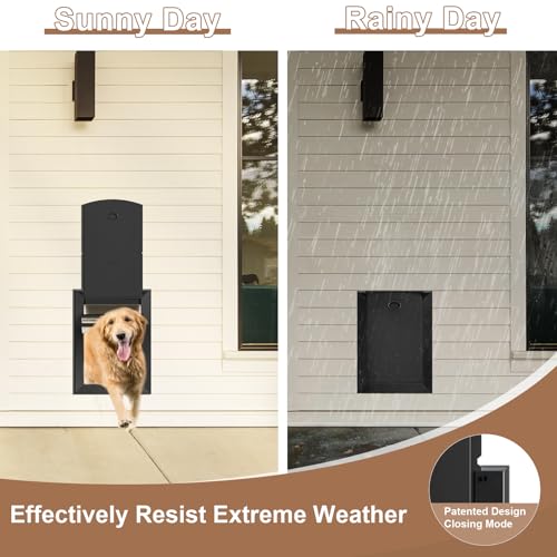 Sammak Porta de cachorro para parede, porta resistente para cães com moldura de alumínio e túnel tel